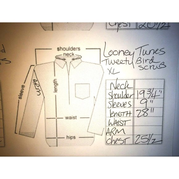 Tweety Bird Scrub Top Baby Looney Tunes V neck XL Short Slv Fun Fresh Warner Bro - Picture 3 of 6